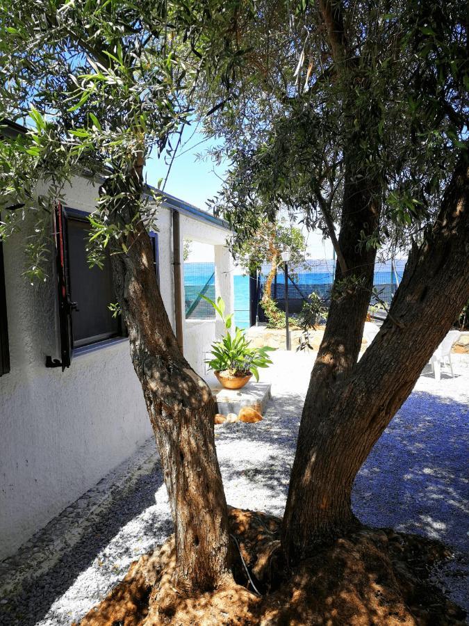 Villa La Plaja Cefalù Kültér fotó